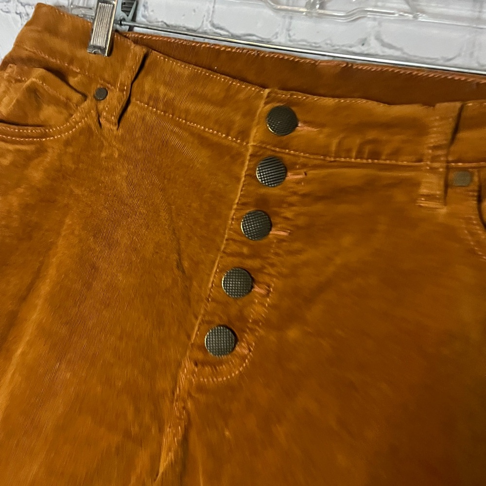 Rust Orange Corduroy Button-Up Skinny Jean